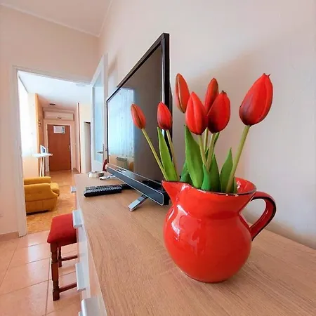 Big Lasan Apartment