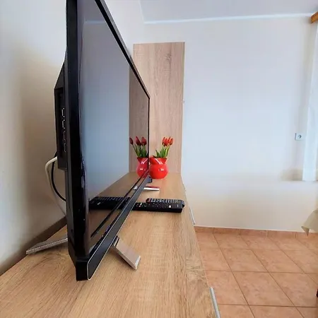 Apartment Big Lasan